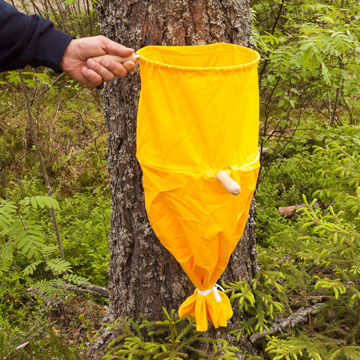 Visa information för Insektssåll Bild på Insektssåll