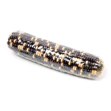 Visa information för Majskolv 3:1 Bild på Majskolv 3:1