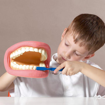 Visa information för Tandborstning demonstration Bild på Tandborstning demonstration