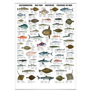 Visa information för Saltvattenfisk pl. Bild på Saltvattenfisk pl.