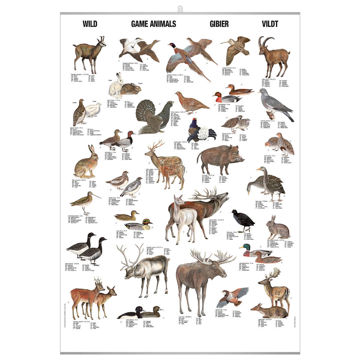 Visa information för Vilt pl. Bild på Vilt pl.