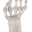Bild på Handskelett med elastiska ligament M36 1013683