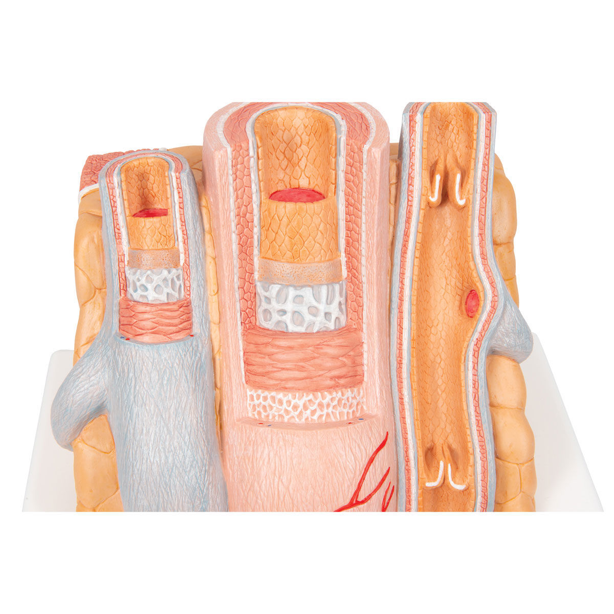 heraco-ab-art-r-ven-strukturmodell-g42-1000279