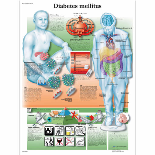 Bild på Diabetes VR1441 1001554