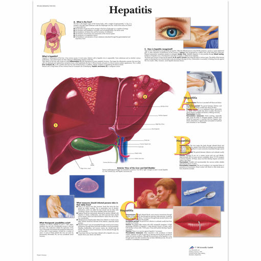 Bild på Hepatit VR1435 1001552