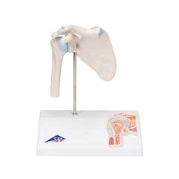 Visa information för Axel mini tvärsnitt A86/1 1000172 Bild på Axel mini tvärsnitt A86/1 1000172