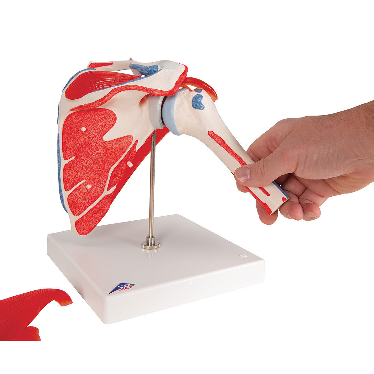 Heraco AB. Axelled A880 1000176