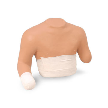 Visa information för Bandagesimulator övre W44226 1005680 Bild på Bandagesimulator övre W44226 1005680
