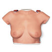 Bild på Bröstmodell självundersökning L50 1000342