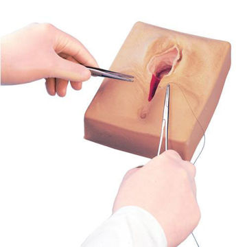 Visa information för Episiotomy sutur simulator /3st W44096 1005627 Bild på Episiotomy sutur simulator /3st W44096 1005627