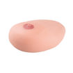 Bild på Ultraljudsmodell - Bröst med cystor 1019634