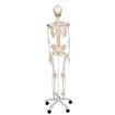 Bild på Flexibelt skelett Fred A15 1020178