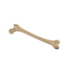 Bild på Femur höger tonåring ORTHOBone 1019702
