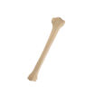Bild på Tibia pediatrisk höger ORTHOBone 1019703