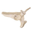 Bild på Scapula vänster ORTHOBone Pre 1017629