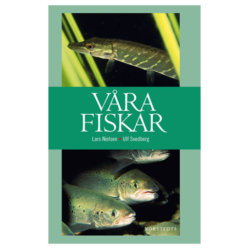 Bild på Våra fiskar /Nilsen m.fl.