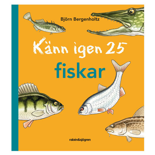 Bild på Känn igen 25 fiskar