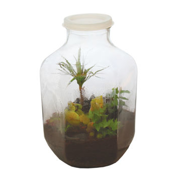 Visa information för Slutna rummet Bild på Slutna rummet