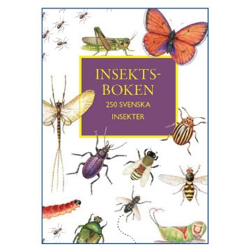Visa information för Insektsboken Bild på Insektsboken
