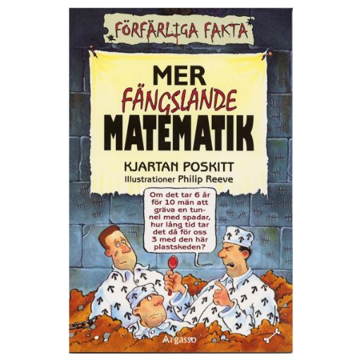 Bild på Mer Fängslande Matematik
