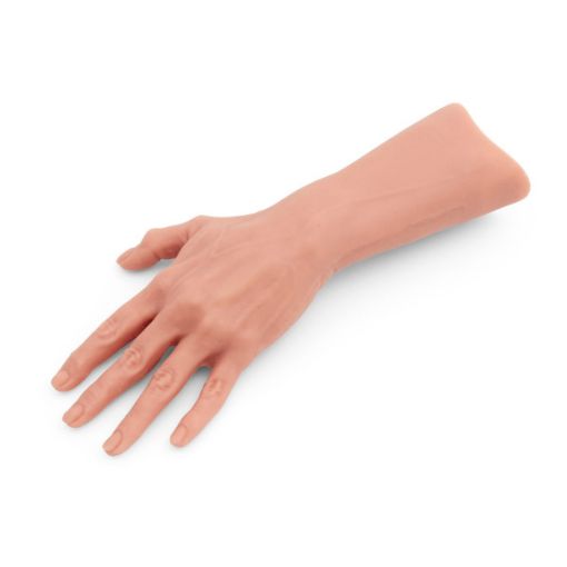Bild på Hand & underarm till P51